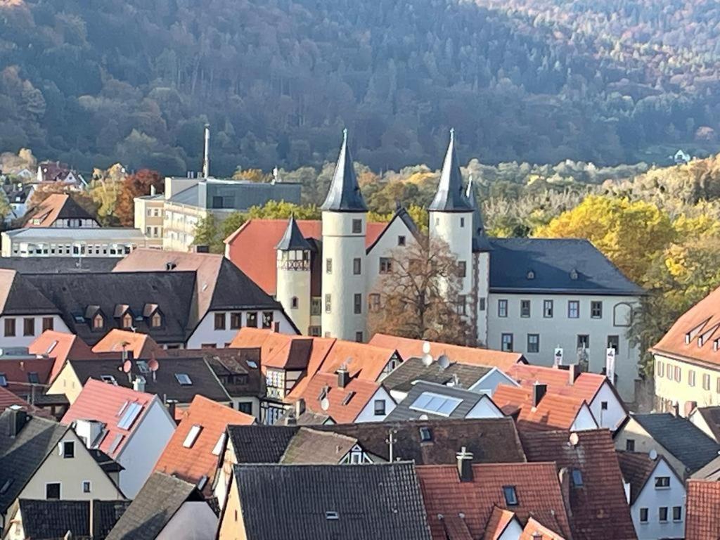 Apartament Wohnen Im Springerhof Lohr nad Menem Zewnętrze zdjęcie