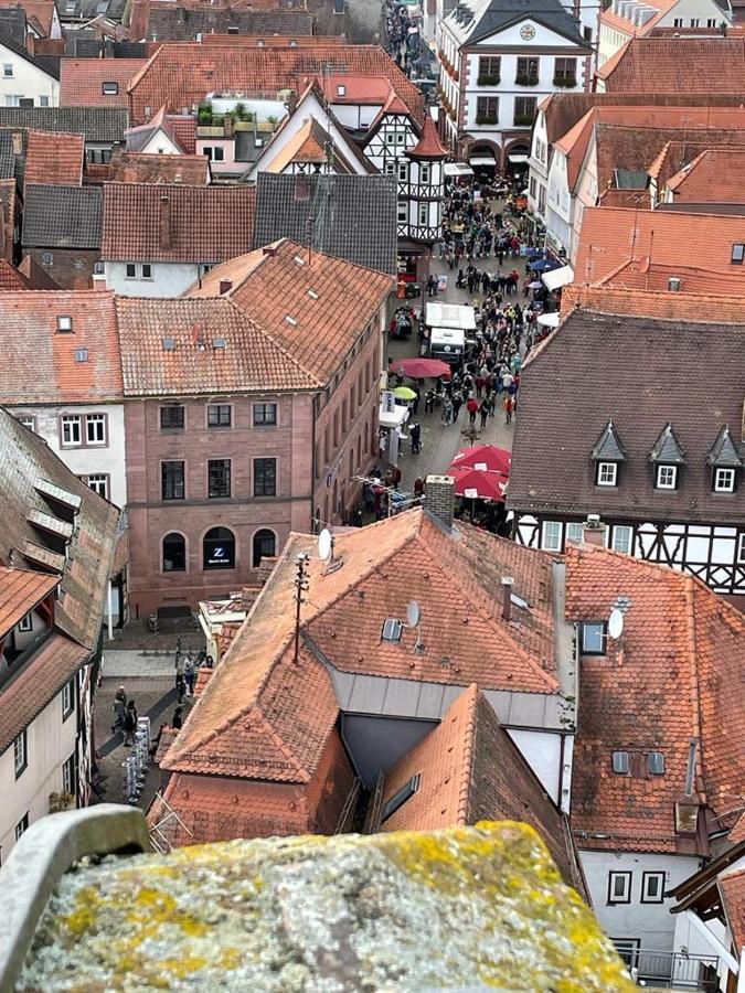 Apartament Wohnen Im Springerhof Lohr nad Menem Zewnętrze zdjęcie
