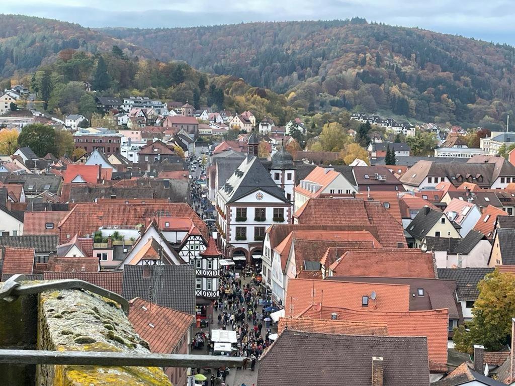 Apartament Wohnen Im Springerhof Lohr nad Menem Zewnętrze zdjęcie